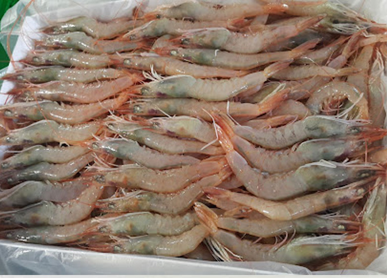 FROZEN CRUSTACEANS
